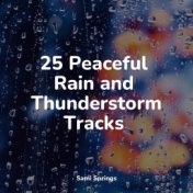 25 Peaceful Rain and Thunderstorm Tracks