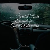 25 Special Rain Sounds for Total Relaxation