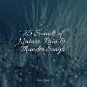 25 Sounds of Nature: Rain & Thunder Songs