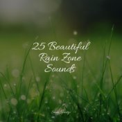 Nature Sounds to Relax