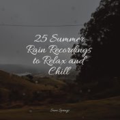 25 Summer Rain Recordings to Relax and Chill