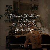 Winter Wellness - a Calming Tracks to Calm Your Sleep