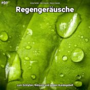 #01 Regengeräusche zum Schlafen, Relaxen und gegen Hundegebell