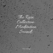 The Rain Collection: Meditation Sounds