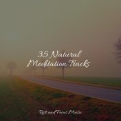 35 Natural Meditation Tracks