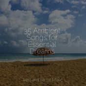 35 Ambient Songs for Essential Dreams