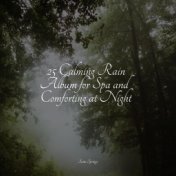 25 Calming Rain Album for Spa and Comforting at Night