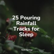 25 Soothing Ambient Rain Sounds for Sleep