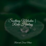 Soothing Melodies | Reiki Healing