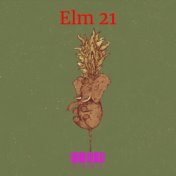 Elm 21