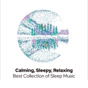 Calming, Sleepy, Relaxing: Best Collection of Sleep Music, Deep Sleep, Meditation Before Sleep