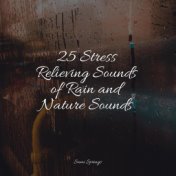 25 Stress Relieving Sounds of Rain and Nature Sounds