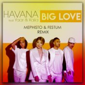 Big Love (DJ Mephisto & Festum Music Remix)