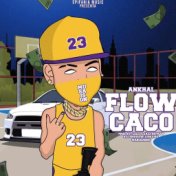 Flow Caco