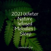 2021 Winter Nature Infused Melodies | Sleep
