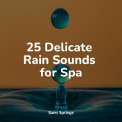 25 Delicate Rain Sounds for Spa