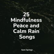 25 Mindfulness Peace and Calm Rain Songs