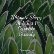 Ultimate Sleepy Melodies | Complete Serenity