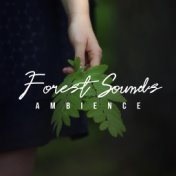 Forest Sounds Ambience