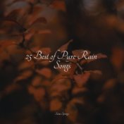 25 Best of Pure Rain Songs