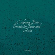 25 Calming Rain Sounds for Sleep and Rain