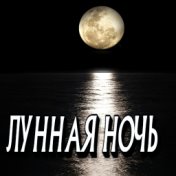 Лунная ночь