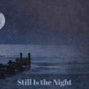 Still Is the Night