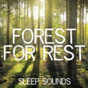 Forest for Rest