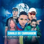 Cavalo ou Carruagem