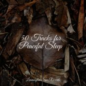 50 Tracks for Peaceful Sleep