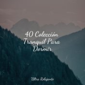 40 Colección Tranquil Para Dormir