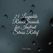 25 Loopable Rain Sounds for Instant Stress Relief