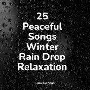 25 Peaceful Songs Winter Rain Drop Relaxation