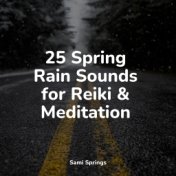 25 Spring Rain Sounds for Reiki & Meditation