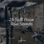 25 Soft Asian Rain Sounds