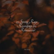 25 Spring Rain Recordings for Relaxation