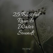 25 Blissful Rain & Water Sounds