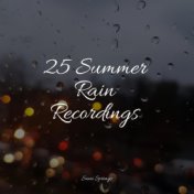 25 Summer Rain Recordings