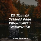 25 Sonidos Serenos Para Vibraciones y Meditación