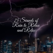 25 Sounds of Rain to Relax and Relax
