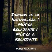 Sonidos de la Naturaleza | Música Relajante | Música a Relajante