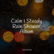 Calm & Steady Rain Shower Album