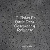 40 Pistas En Bucle Para Descansar y Relajarse