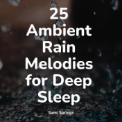 25 Ambient Rain Melodies for Deep Sleep