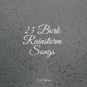 25 Bork Rainstorm Songs