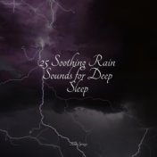25 Soothing Rain Sounds for Deep Sleep