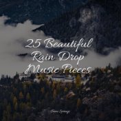 25 Beautiful Rain Drop Music Pieces