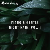 Piano & Gentle Night Rain, Vol. I