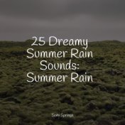 25 Dreamy Summer Rain Sounds: Summer Rain