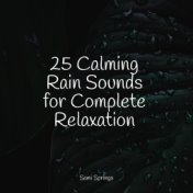 25 Calming Rain Sounds for Complete Relaxation